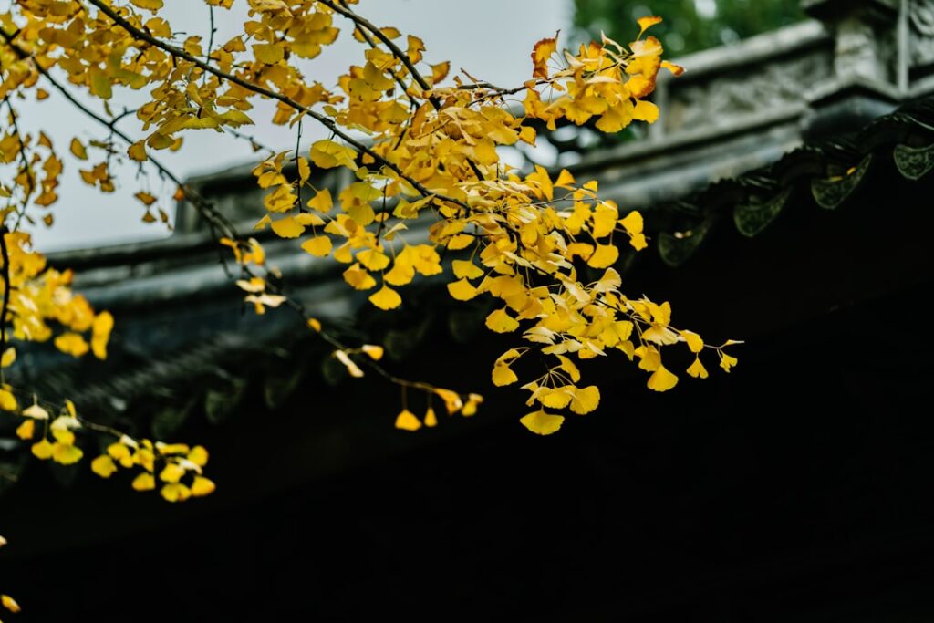 Photo by Jerry Wang on Unsplash