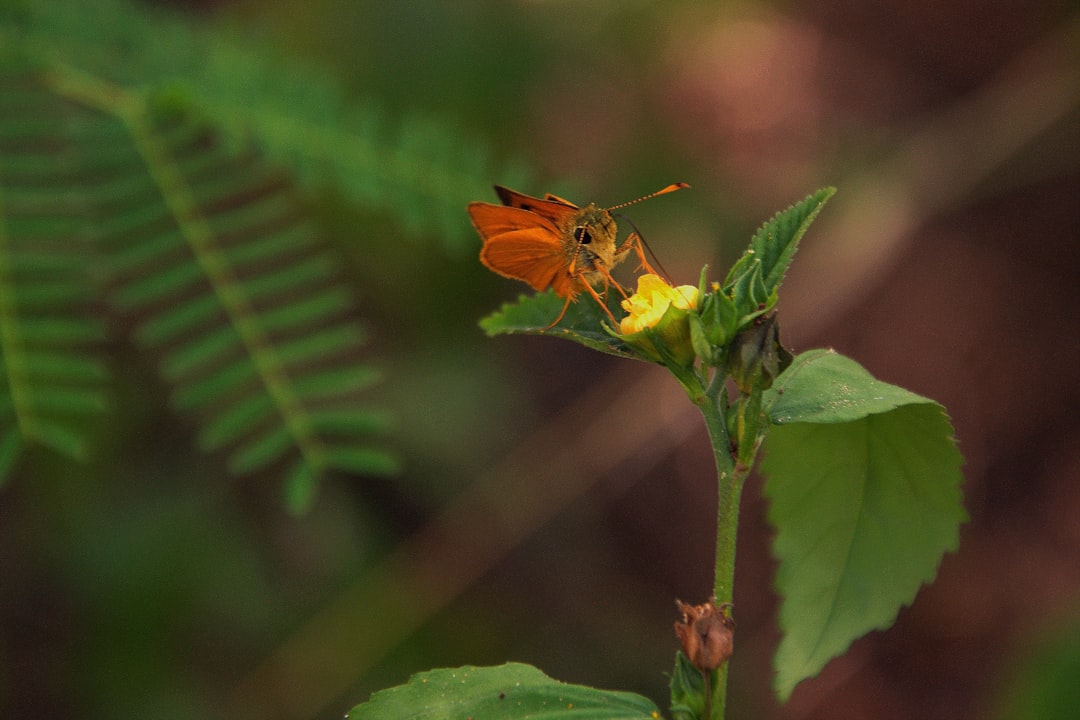 Photo by Karl Callwood on Unsplash