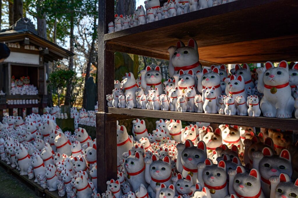 Photo by MacroLingo LLC on Unsplash