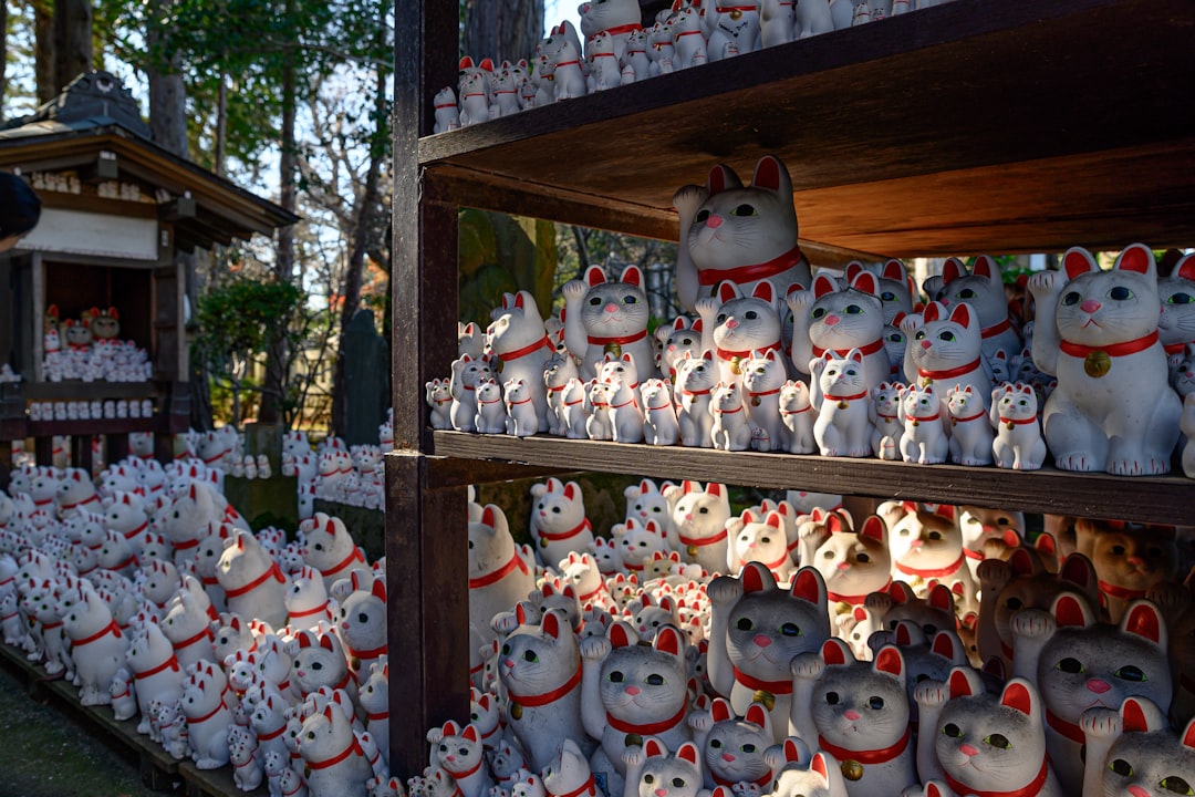 Photo by MacroLingo LLC on Unsplash